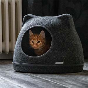 Een katteniglo? Hahaha, wat is dat? 2 Een rode kater ligt in de katteniglo.