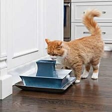 Drinkfontijn van Pet Safe voor katten die water moeten drinken.